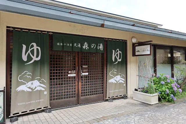 Hakone Kowakien Morinoyu