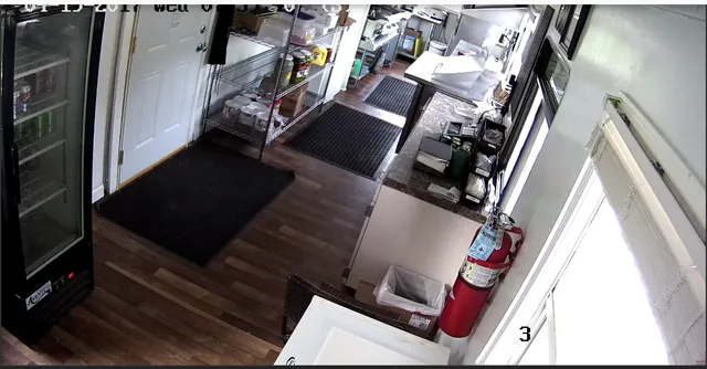 Digzy Dogz & Grill llc