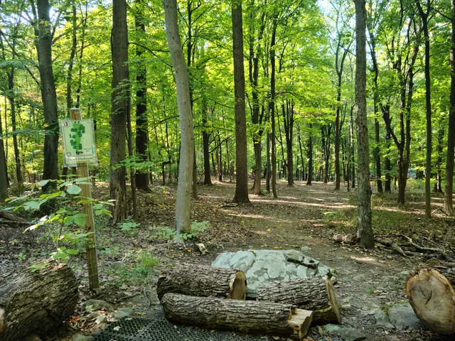Beacon Glades Disc Golf