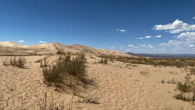Kelso Sand Dunes