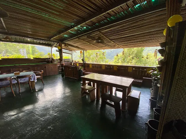 龍泉鄉茶藝館/供午餐/咖啡/茶席體驗