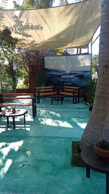 Agave