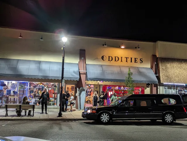 The Secret Chamber house of Oddities and Artwork