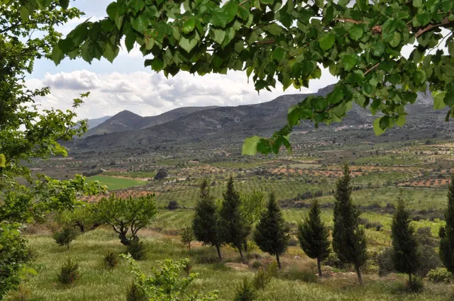 Casa Rural Ca Miquelet