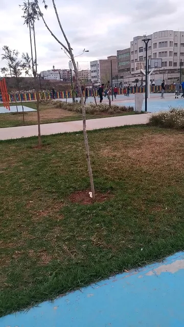 Complexe Socio Sportif Ain Chock