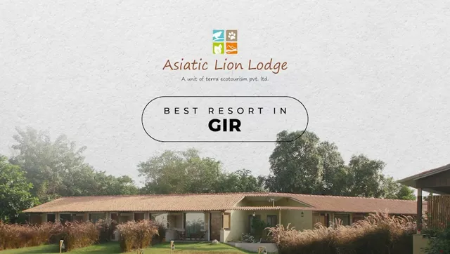 Asiatic Lion Lodge - Sasan Gir Resort and Hotel