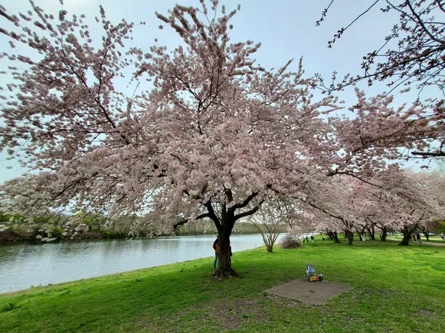 Schuylkill River Trail