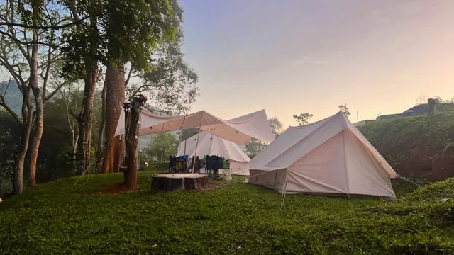 The Hunting Rat Campsite