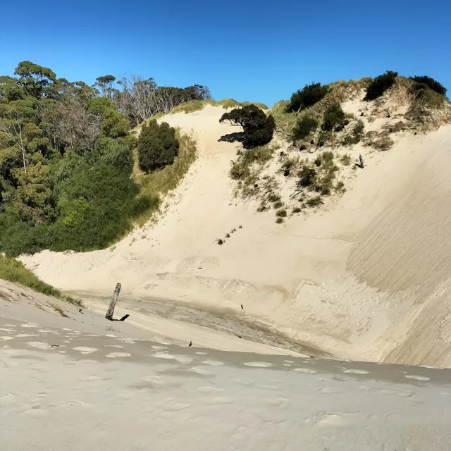 Henty Dunes