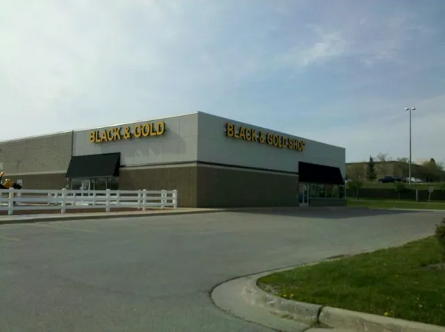 The Black & Gold Shop