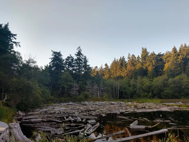 Holiday Hideaway Association's Community Beach