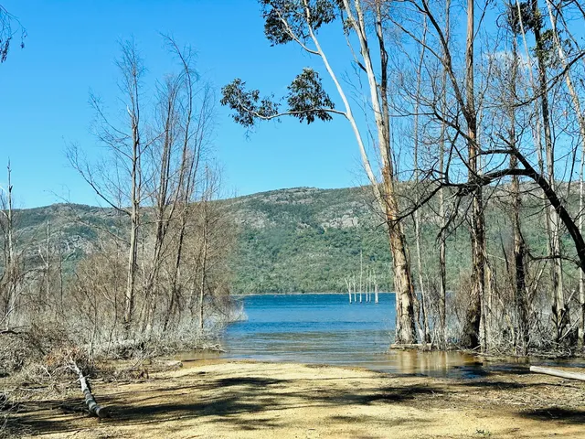 Bellfield Picnic Area