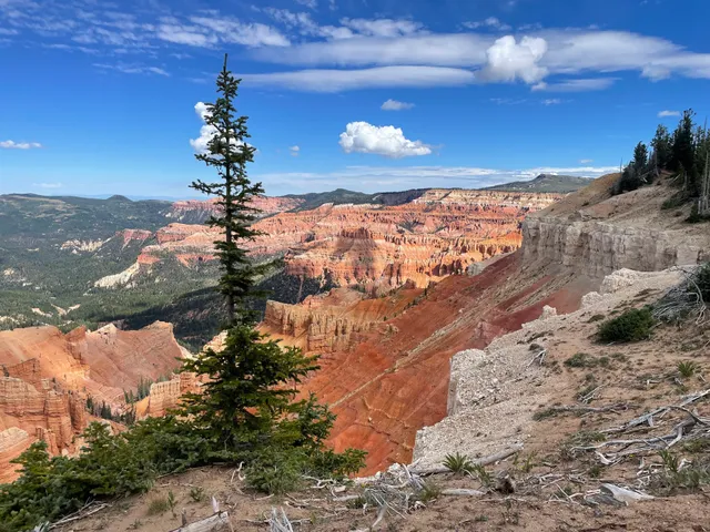 Spectra Point Overlook