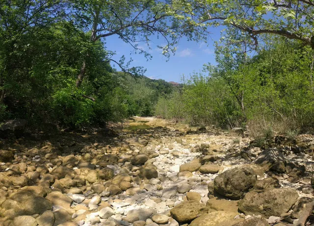 Stretch & Stroll Barton Springs Trailhead