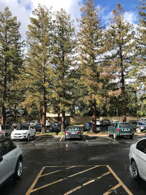 Apple Stevens Creek 1 (SC01)