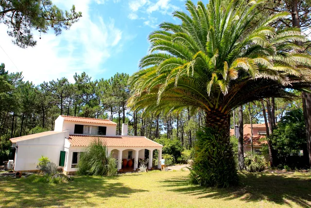 Mauka Lodge - Paddle & Surf Retreat