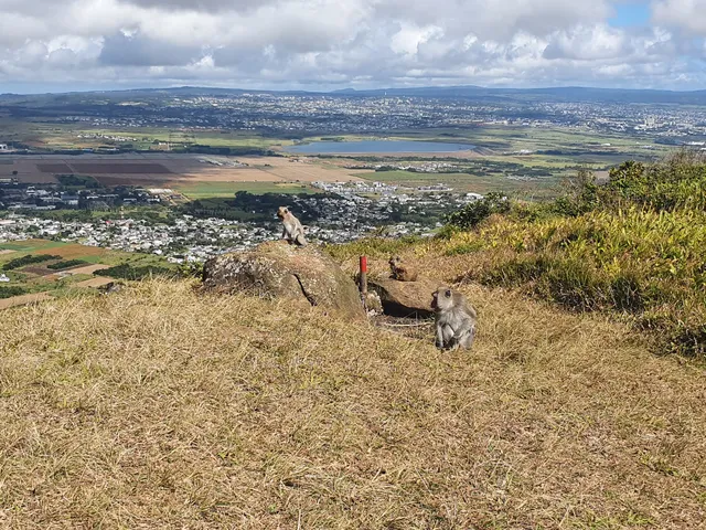 Le Pouce - Wes Aventure Randonnées