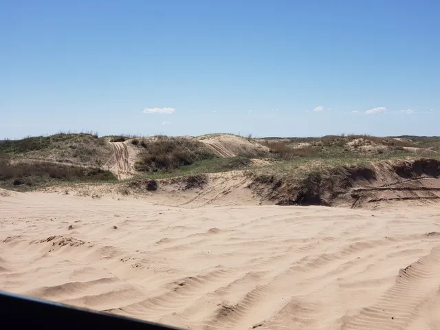 Syracuse Sand Dunes