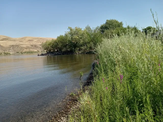 Chief Looking Glass Park