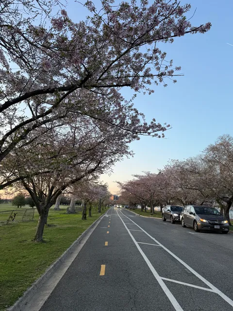 Hains Point Picnic Area