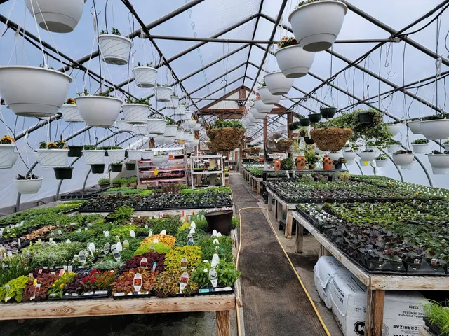 Donna's Greenhouses