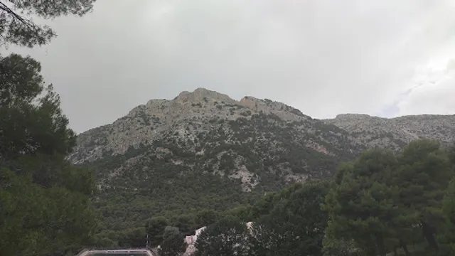 Abades Sierra Espuña (dirección Andalucía)