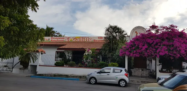 El Gallito