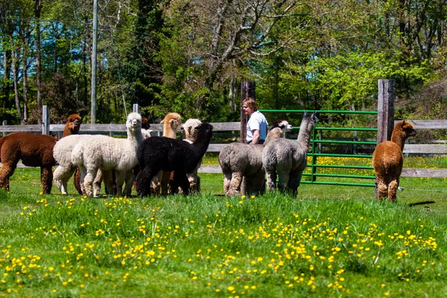 Morning Beckons Farm LLC