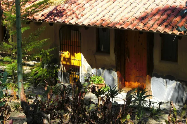 Altai Oasis Eco lodge