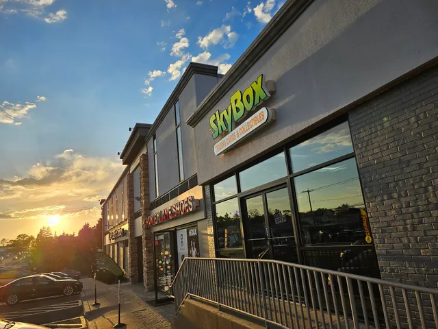 SkyBox Trading Cards & Collectibles