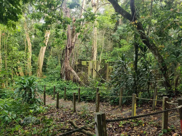 Macaque Trail and Langur Trail