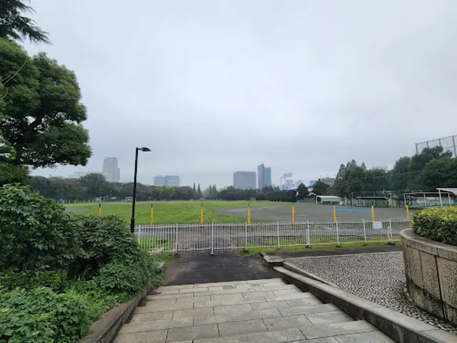 Meiji Jingū Gaien Rubber Baseball Field