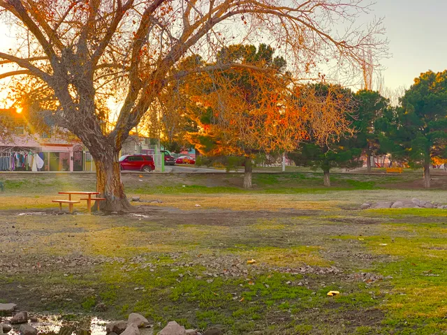 Parque Para Comer Jugar Cenar, Correr Y Descansar