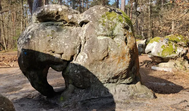 The Elephant Stone