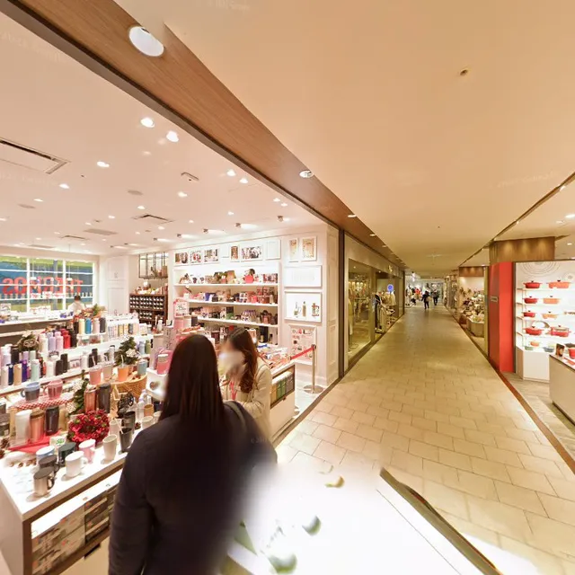 Futako-Tamagawa Rise Shopping Center