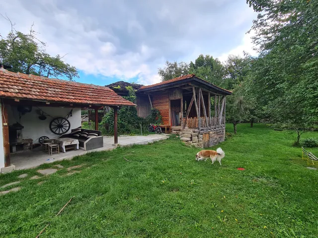 Roden Dom Guest House