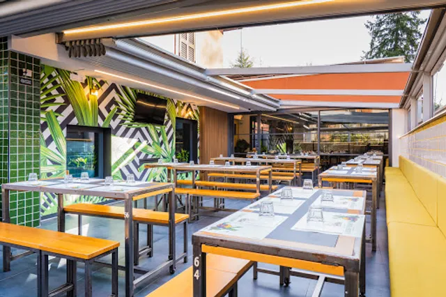 Il secchio e l'olivaro