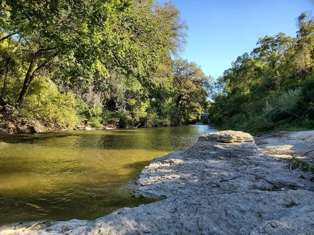 Brushy Creek Dog Park