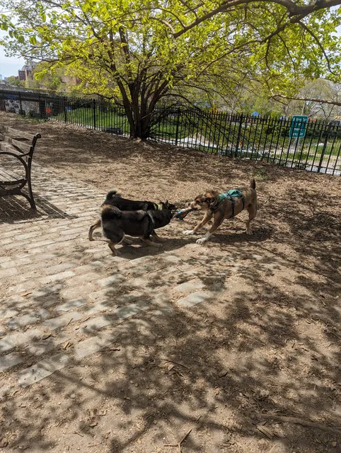 Cobble Hill Dog Park