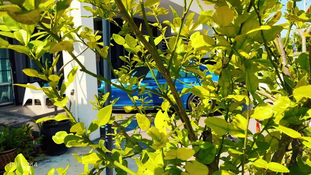 Homestay Mekar Idaman