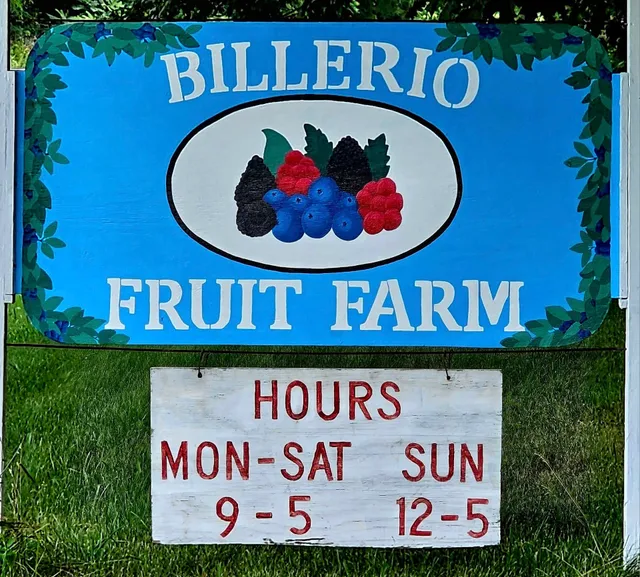 U-pick Blueberries - Billerio Fruit Farm