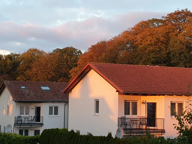 Beach Thistle H. Töpfer