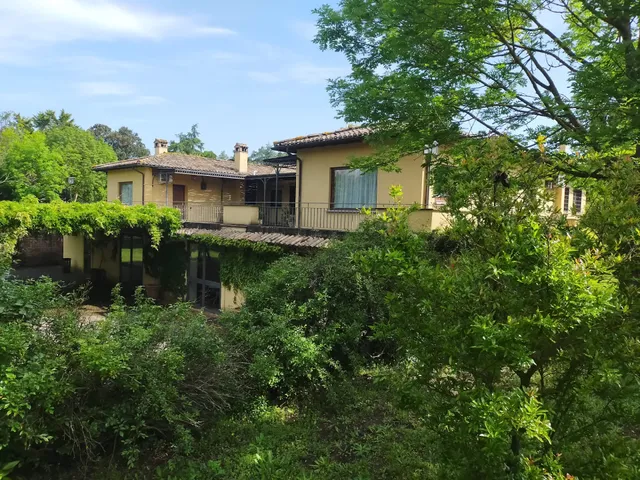 Scuderie Della Contea