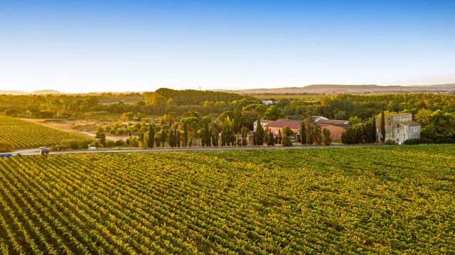 Domaine De L'herbe Sainte