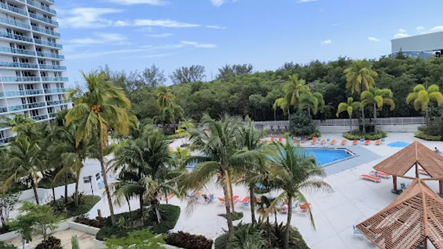 The Oasis by L’Edito