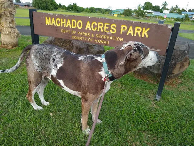 Machado Acres Park