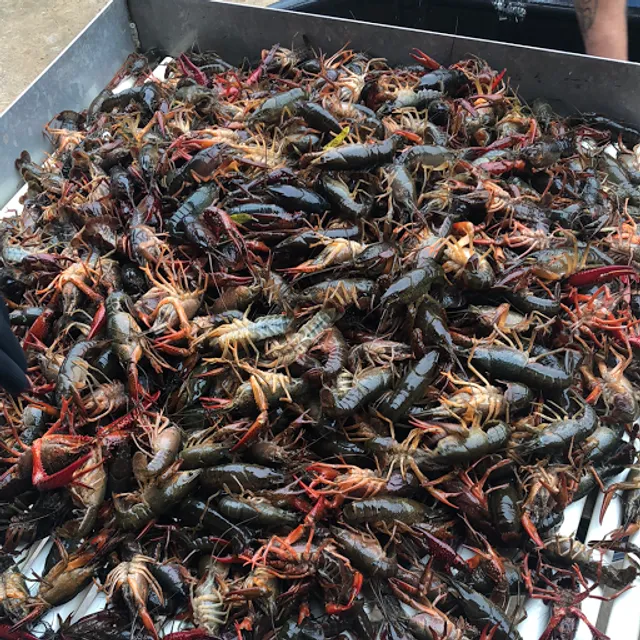 C E Seafood and produce