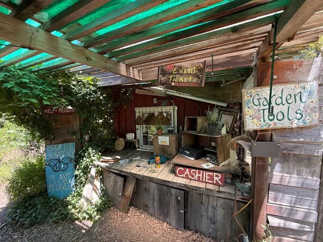 Mountain Sage Coffee