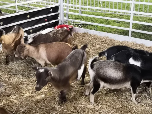 MS Fairgrounds Gate 14
