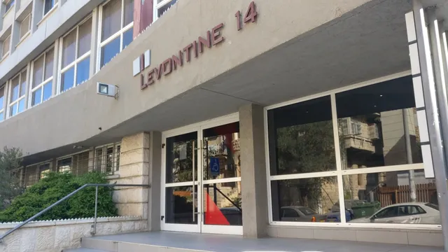 Levontine 14